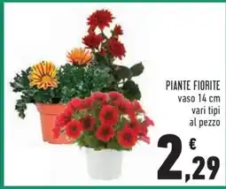 Conad Piante fiorite offerta