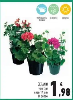 Conad Geranio offerta