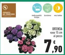 Conad Ortensia offerta