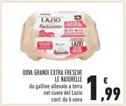 Conad Uova Grandi Extra Fresche Le Naturelle offerta