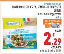 Conad CONTORNO LEGGEREZZA, ARMONIA IL BENESSERE OROGEL offerta