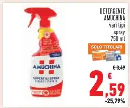Conad DETERGENTE AMUCHINA offerta