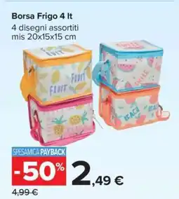 Carrefour Borsa Frigo 4 lt offerta
