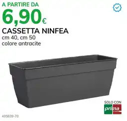 Basko Cassetta ninfea offerta