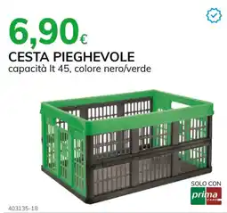 Basko Cesta pieghevole offerta