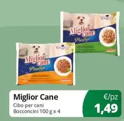 Acqua & Sapone Miglior Cane offerta
