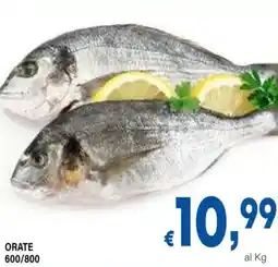 DEM Orate 600/800 offerta