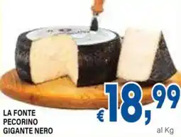 DEM La fonte pecorino gigante nero offerta