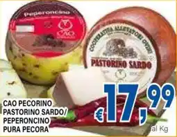 DEM Cao pecorino pastorino sardo peperoncino pura pecora offerta