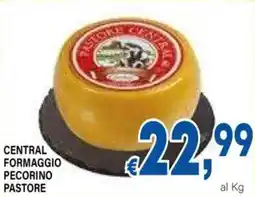 DEM Central formaggio pecorino pastore offerta