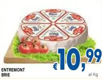 DEM Entremont brie offerta