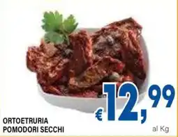 DEM Ortoetruria pomodori secchi offerta