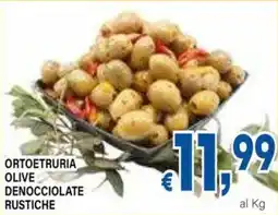 DEM Ortoetruria olive denocciolate rustiche offerta