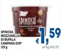DEM Spinosa mozzarella di bufala campana dop offerta
