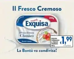 DEM Exquisa formaggio il fresco cremoso offerta