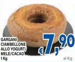 DEM Gargani ciambellone allo yogurt/ mele/cacao offerta