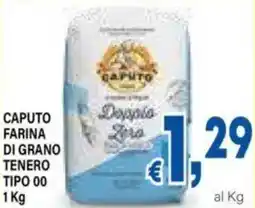 DEM Caputo farina di grano tenero tipo 00 offerta