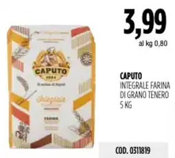 Carico Cash & Carry Caputo integrale farina di grano tenero offerta