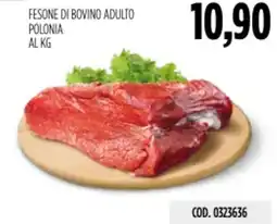Carico Cash & Carry Fesone di bovino adulto polonia offerta