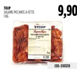 Carico Cash & Carry Tulip salame piccante a fette offerta