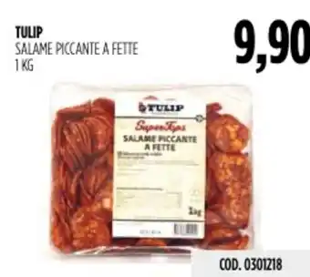Carico Cash & Carry Tulip salame piccante a fette offerta