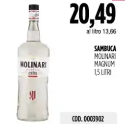 Carico Cash & Carry Sambuca molinari magnum offerta
