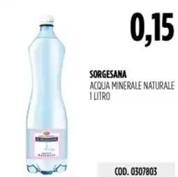 Carico Cash & Carry Sorgesana acqua minerale naturale offerta
