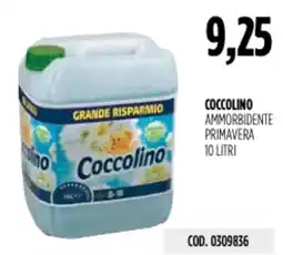 Carico Cash & Carry Coccolino ammorbidente primavera offerta