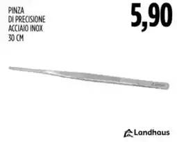Carico Cash & Carry Landhaus pinza di precisione acciaio inox offerta