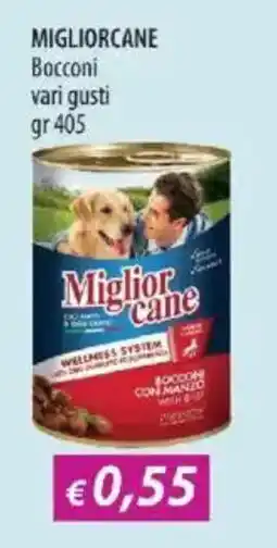 Acqua & Sapone MIGLIORCANE Bocconi offerta