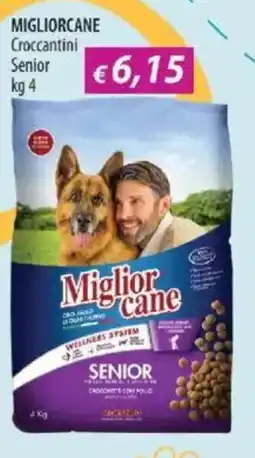 Acqua & Sapone MIGLIORCANE Croccantini Senior offerta