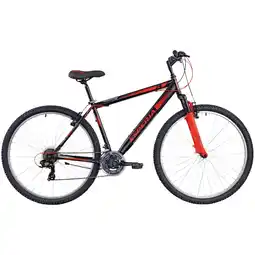 Ipercoop MTB 29” ACCIAIO 21 V ESPERIA 228070 offerta
