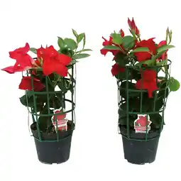 Ipercoop SUNDEVILLE offerta