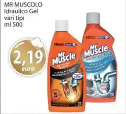 Acqua & Sapone MR MUSCOLO Idraulico Gel offerta