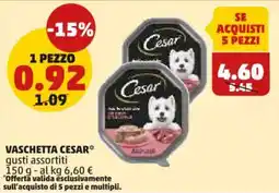 PENNY Vaschetta CESAR offerta