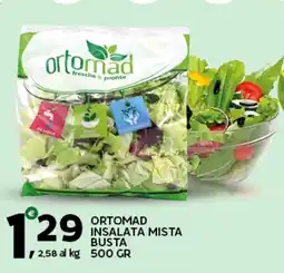 Extra Supermercati Ortomad insalata mista busta offerta