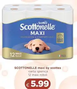 Acqua & Sapone SCOTTONELLE maxi by scottex offerta