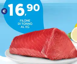 Extra Supermercati Filone di tonno offerta