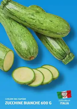 ALDI I colori del sapore zucchine bianche offerta