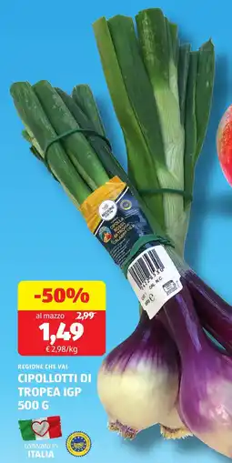 ALDI Regione che vai cipollotti di tropea IGP offerta