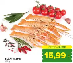 Oasi Scampo 21/30 offerta