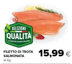 Oasi Filetto di trota salmonata offerta