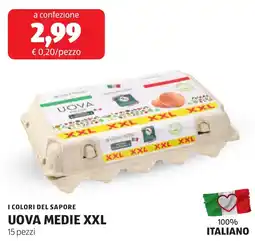 ALDI I colori del sapore uova medie XXL offerta