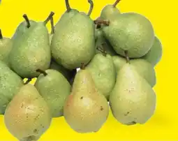 Famila Pere cestino offerta