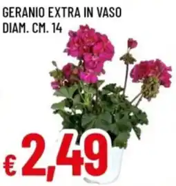 Famila Geranio extra in vaso offerta