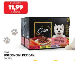 ALDI Cesar bocconcini per cani offerta