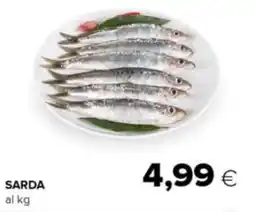 Oasi Sarda al kg offerta