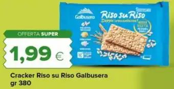 Cracker Riso su Riso Galbusera