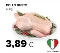 Tigre Pollo busto offerta