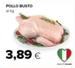 Tigre Pollo busto offerta